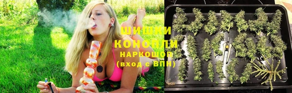 соль курить ск Богданович