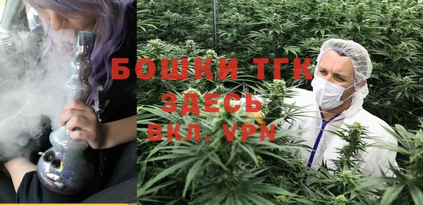 соль курить ск Богданович