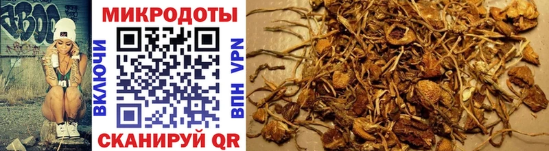 Галлюциногенные грибы MAGIC MUSHROOMS  наркота  Мезень 